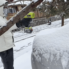 SEESE PRO™ Ultra-Powerful & Lightweight Blower