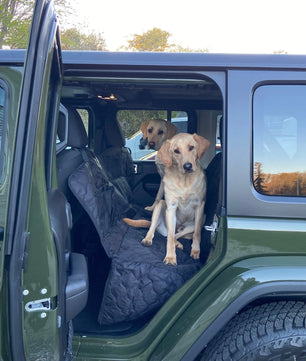 Auto Vriendelijke Huisdierbeschermingshoes | Inclusief Gratis Seat Belt T.W.V. €19,95