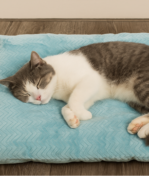 Eliavo CloudRest™ – Pluche Rustbed voor Kat & Hond