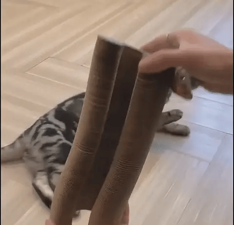 Eliavo Kattenscratcher™ | Krabben en Spelen voor Elke Kat