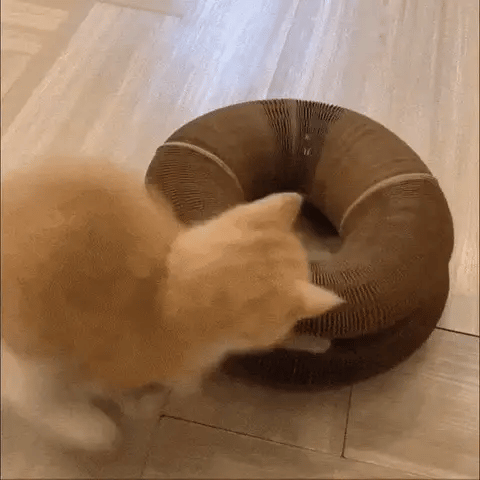 Eliavo Kattenscratcher™ | Krabben en Spelen voor Elke Kat