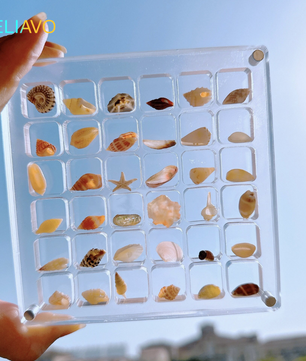 Eliavo DisplayCase™ | De Ultieme Displayoplossing Voor Schelpen en Meer