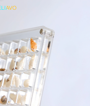 Eliavo DisplayCase™ | De Ultieme Displayoplossing Voor Schelpen en Meer