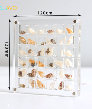 Eliavo DisplayCase™ | De Ultieme Displayoplossing Voor Schelpen en Meer