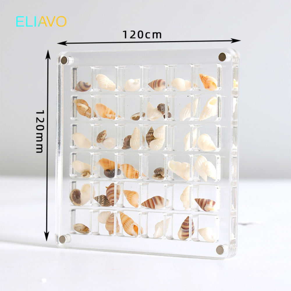 Eliavo DisplayCase™ | De Ultieme Displayoplossing Voor Schelpen en Meer