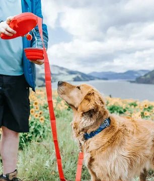 Eliavo Hondenriem Plus™