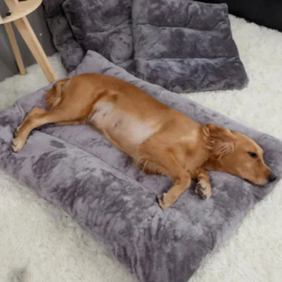 Eliavo CloudRest™ – Pluche Rustbed voor Kat & Hond