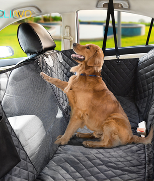 Auto Vriendelijke Huisdierbeschermingshoes | Inclusief Gratis Seat Belt T.W.V. €19,95