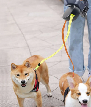 DuoLeash™ – 2-in-1 Hondenriem met Licht