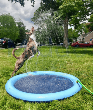 SplashZone™: Verkoelend Waterplezier voor Kinderen en Huisdieren!