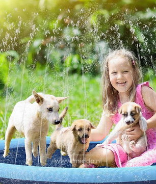 SplashZone™: Verkoelend Waterplezier voor Kinderen en Huisdieren!